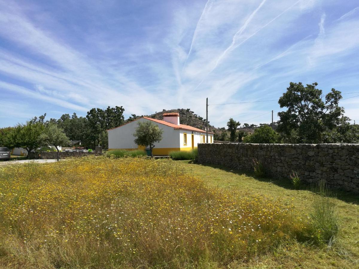 Casa Das Amoras Santo António das Areias Exteriör bild
