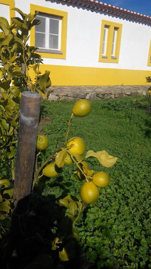 Casa Das Amoras Santo António das Areias Exteriör bild